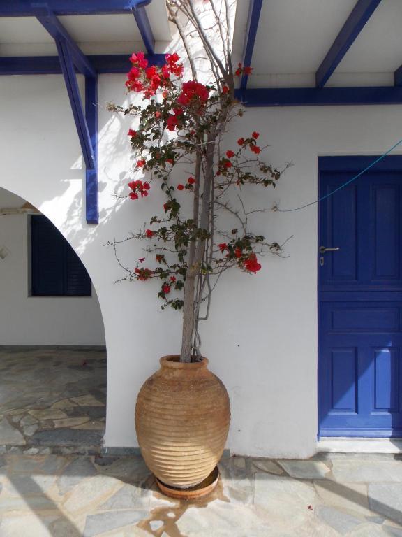 Porto Apergis Aparthotel Agios Ioannis  Exterior photo